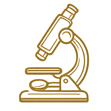 Investigación
